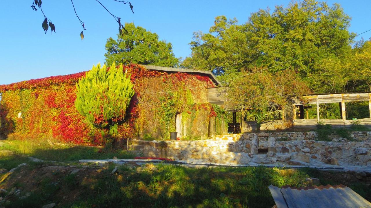 Chambre Lascaux Aux Meulieres A Domme Zewnętrze zdjęcie